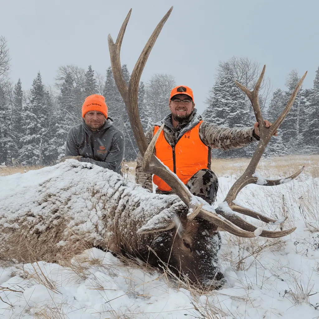 Best-Elk-Huting-Guides