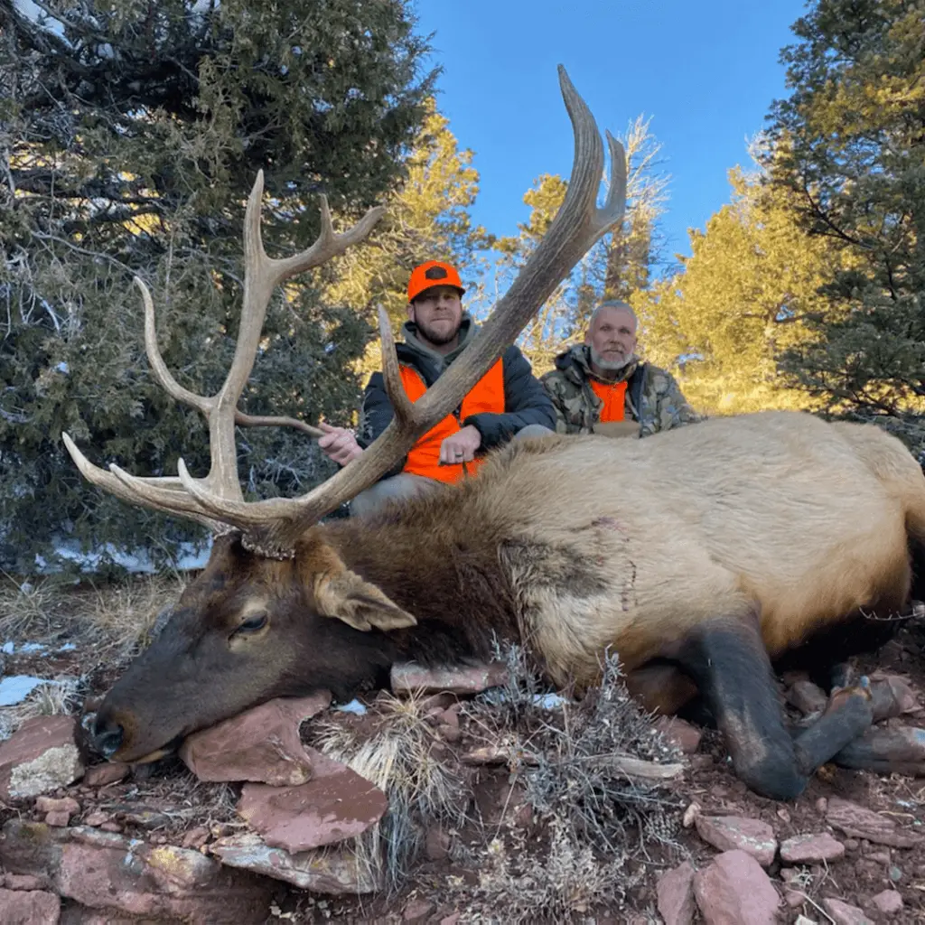 Elk-Hunting-Colorado